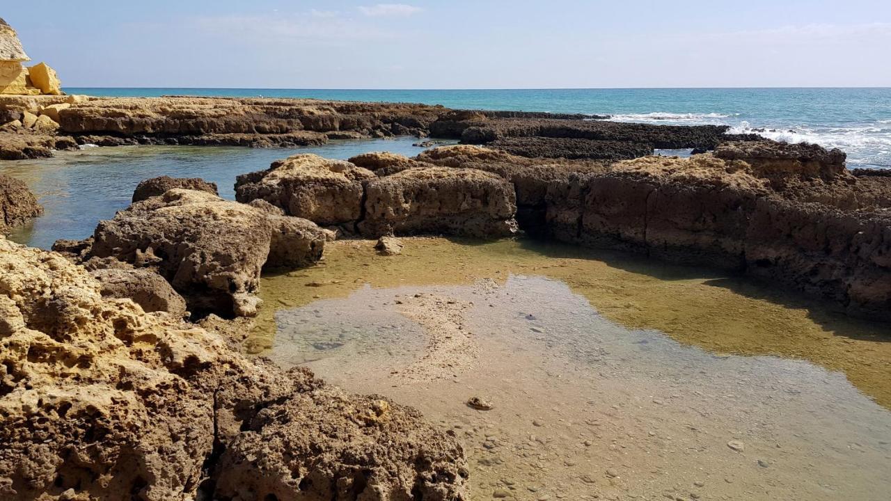 Albufeira, With Terrace, Views, 5 Min To Apartment