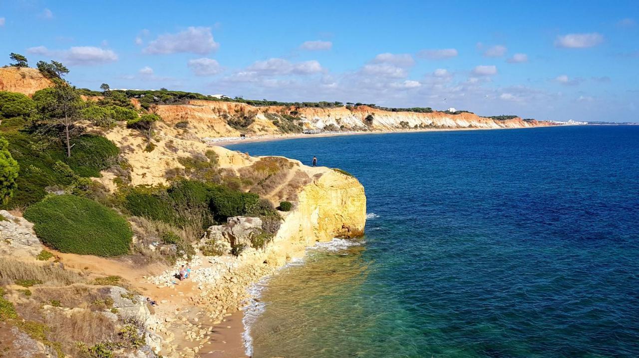 Apartment Albufeira, With Terrace, Views, 5 Min To
