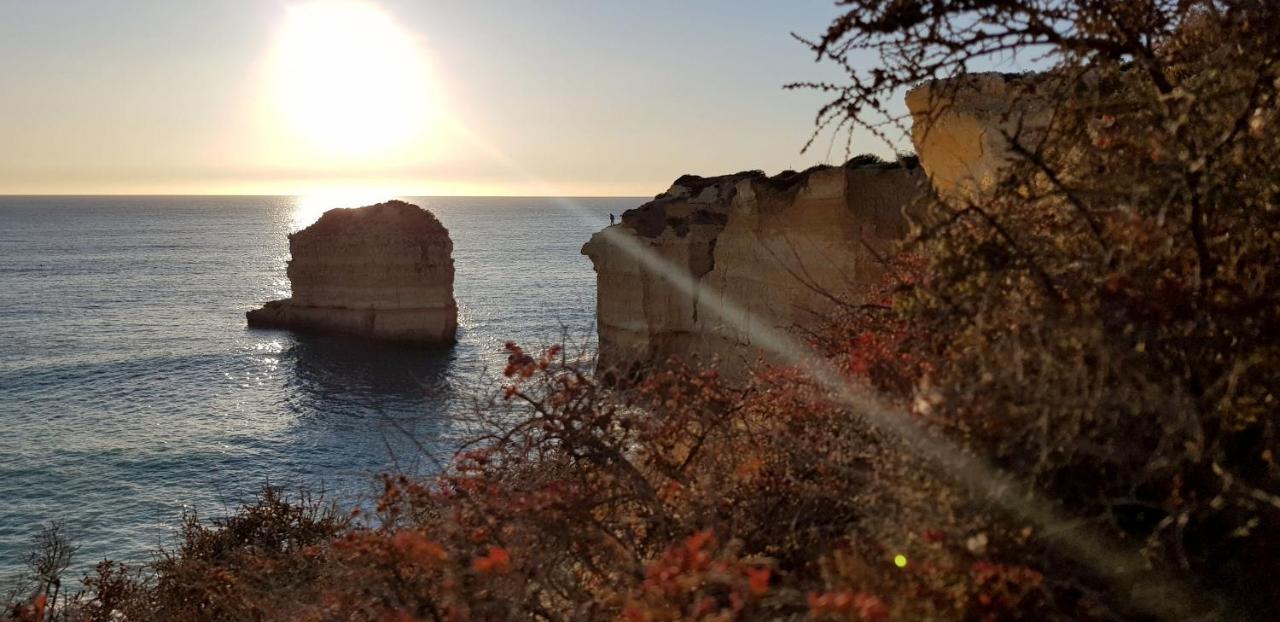 Albufeira, With Terrace, Views, 5 Min To Apartment Albufeira